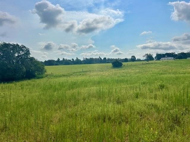 15.34 acres in Leon County featured view