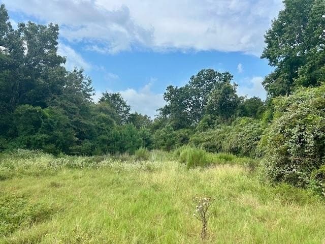 15.34 acres in Leon County gallery image 3