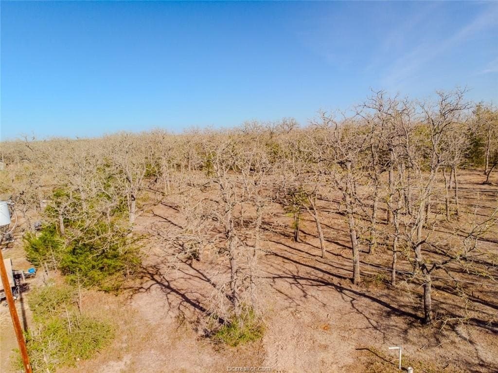 1.1 acres in Burleson County - photo 9