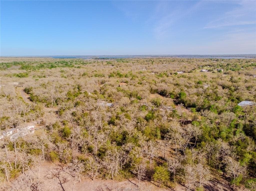 1.1 acres in Burleson County featured view
