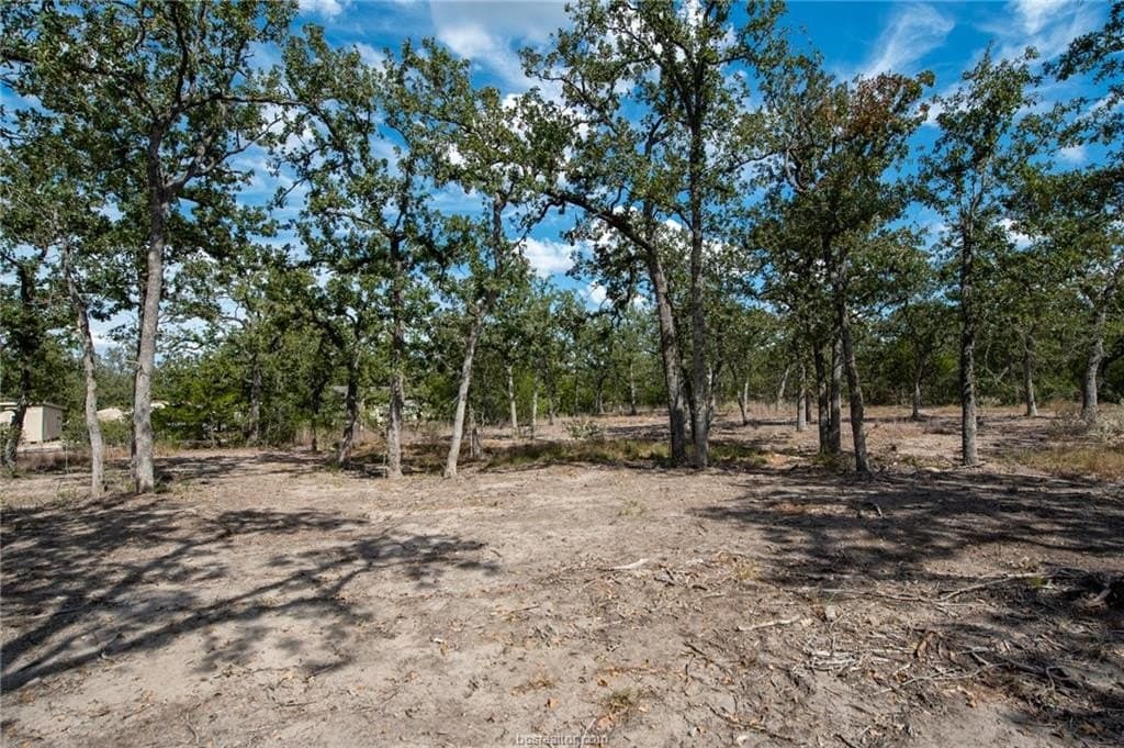 1.1 acres in Burleson County - photo 21