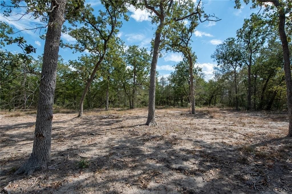 1.1 acres in Burleson County - photo 23