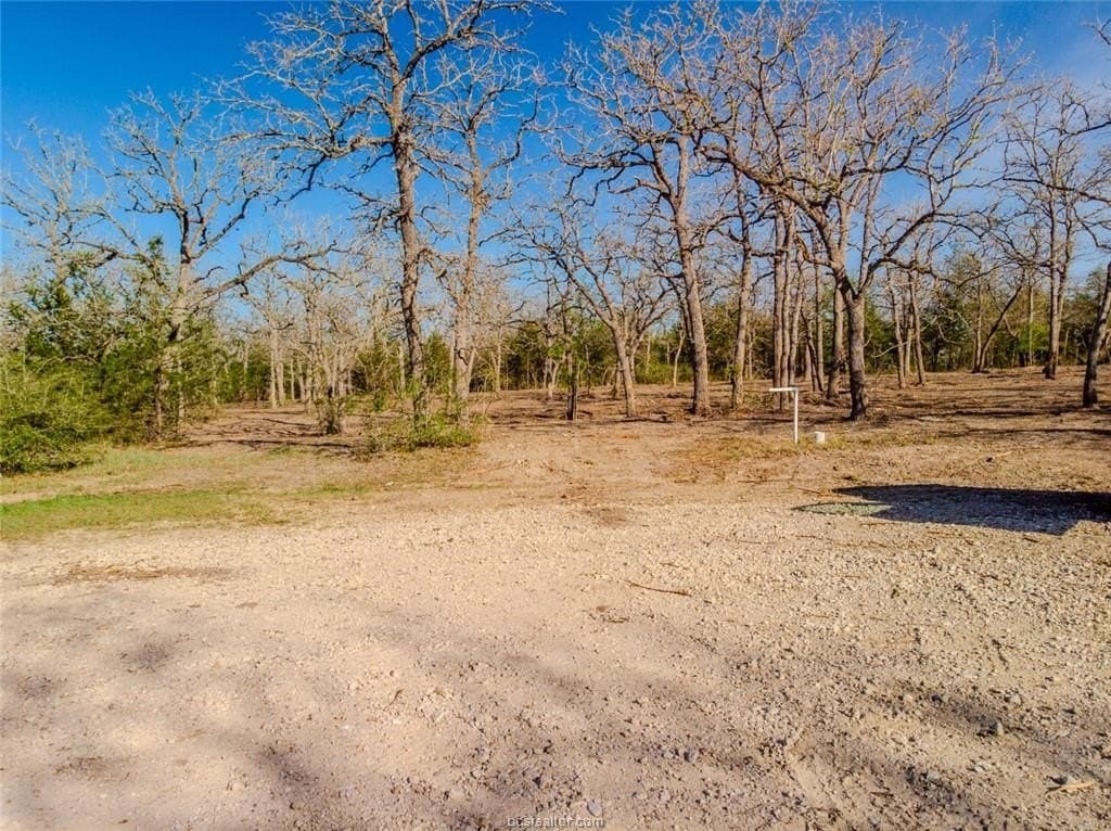 1.1 acres in Burleson County - photo 11