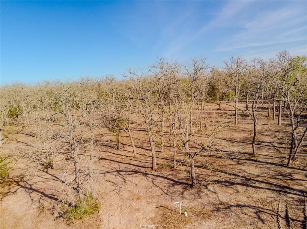 1.1 acres in Burleson County - photo 8