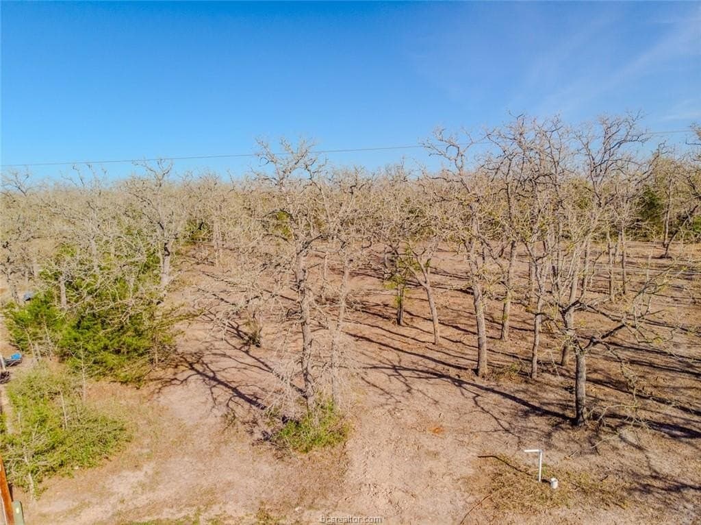 1.1 acres in Burleson County - photo 6