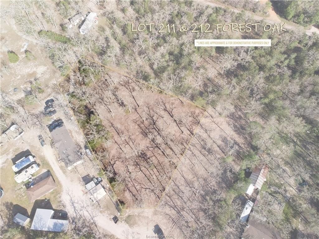 1.1 acres in Burleson County gallery image 2