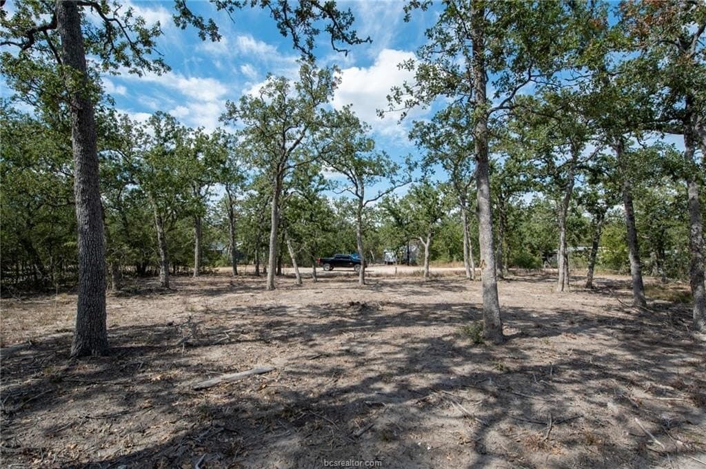 1.1 acres in Burleson County - photo 24
