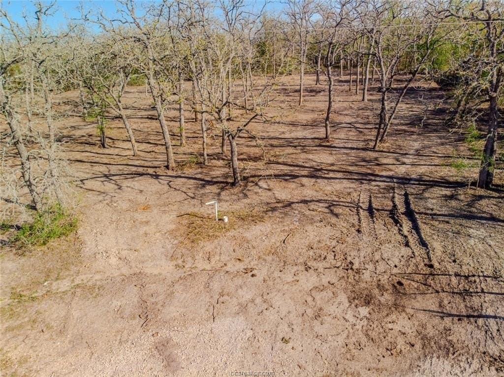 1.1 acres in Burleson County - photo 10
