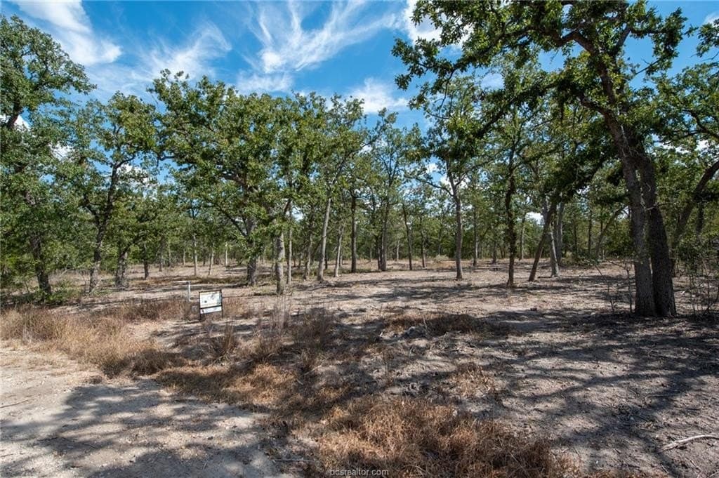 1.1 acres in Burleson County - photo 20