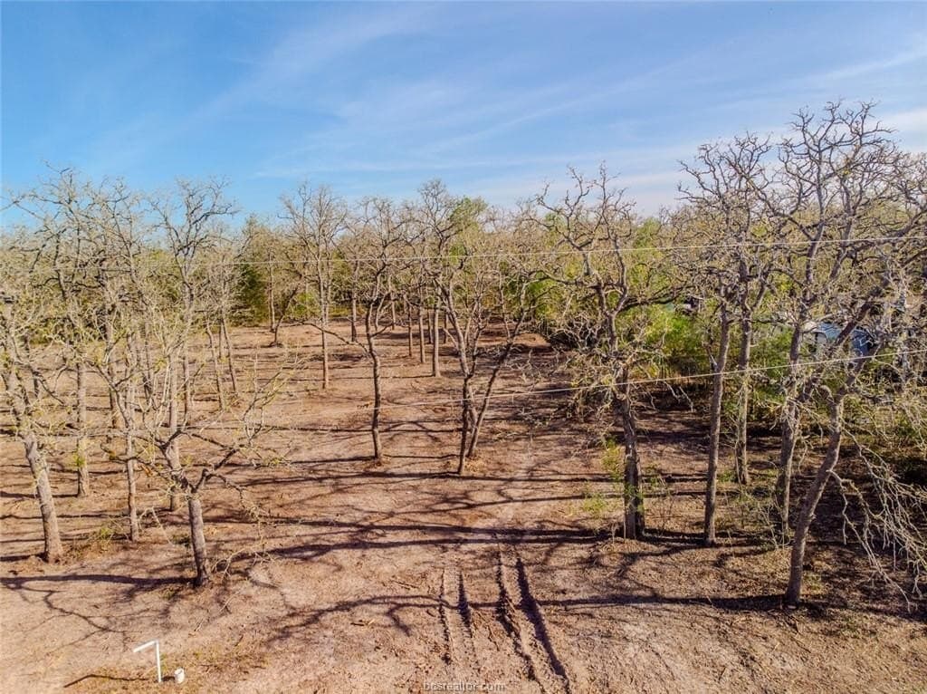 1.1 acres in Burleson County - photo 7