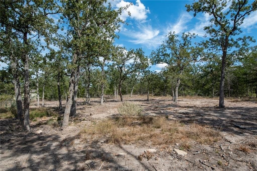 1.1 acres in Burleson County - photo 22