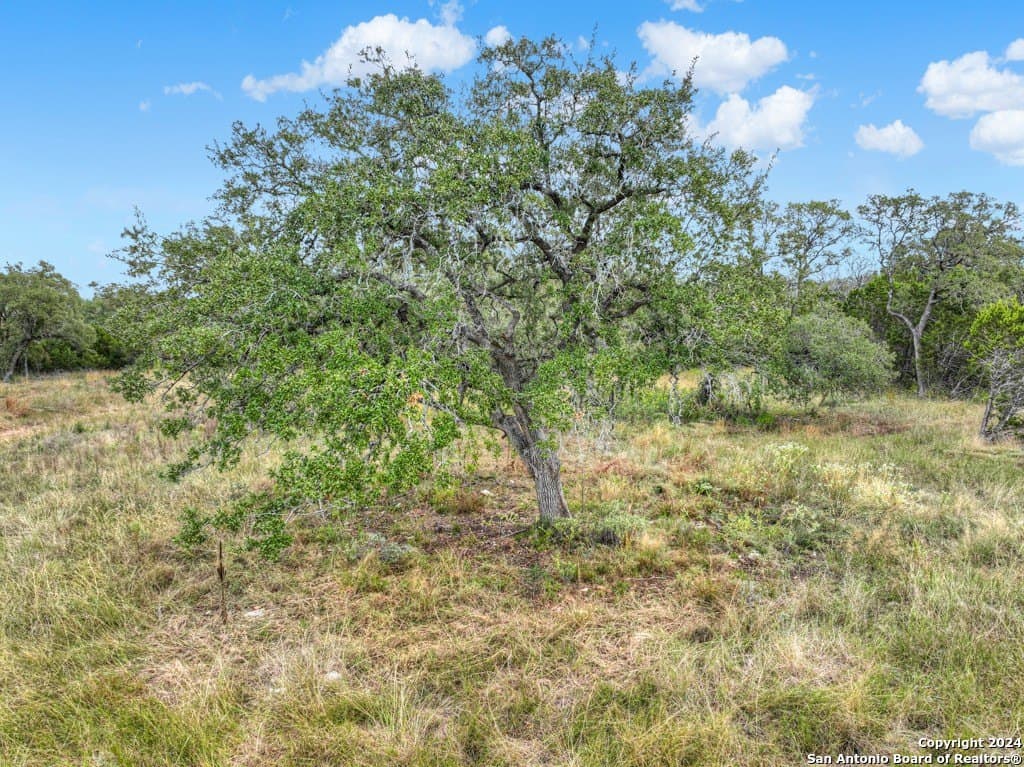 1.22 acres in Comal County - photo 3