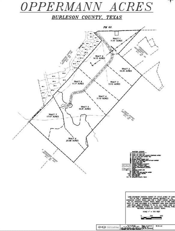 11.41 acres in Burleson County gallery image 2