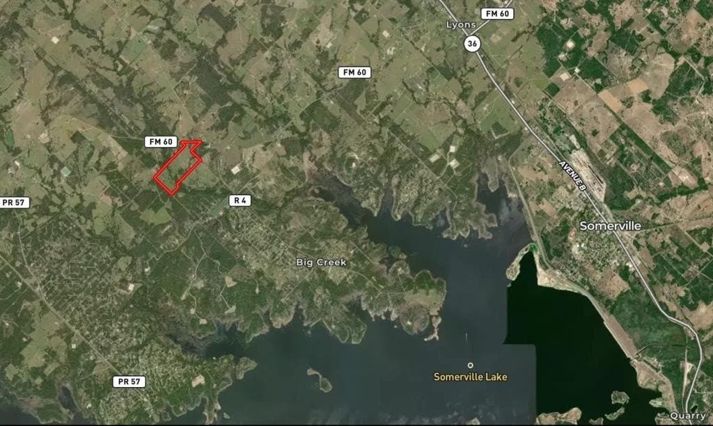 11.41 acres in Burleson County gallery image 4