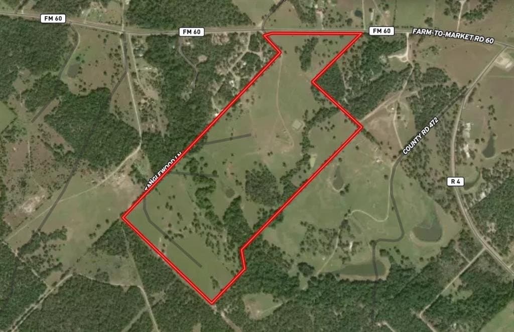 11.41 acres in Burleson County gallery image 3