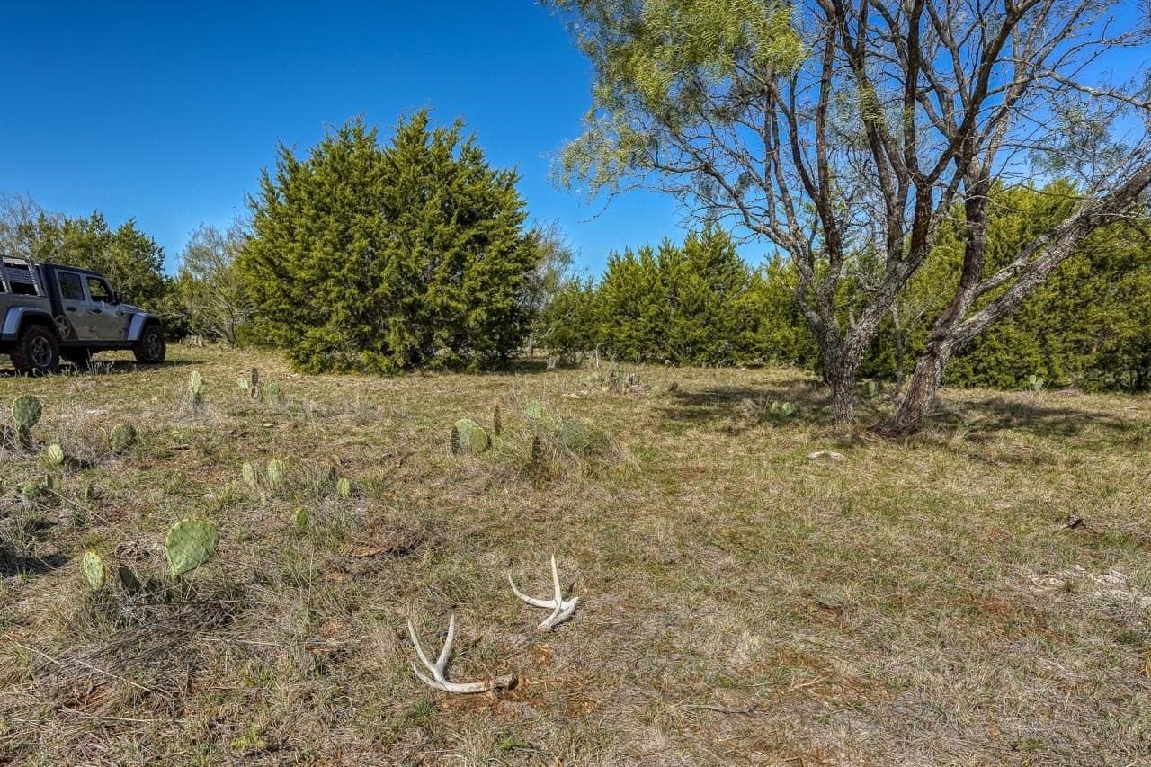 221.5 acres in Burnet County - photo 26