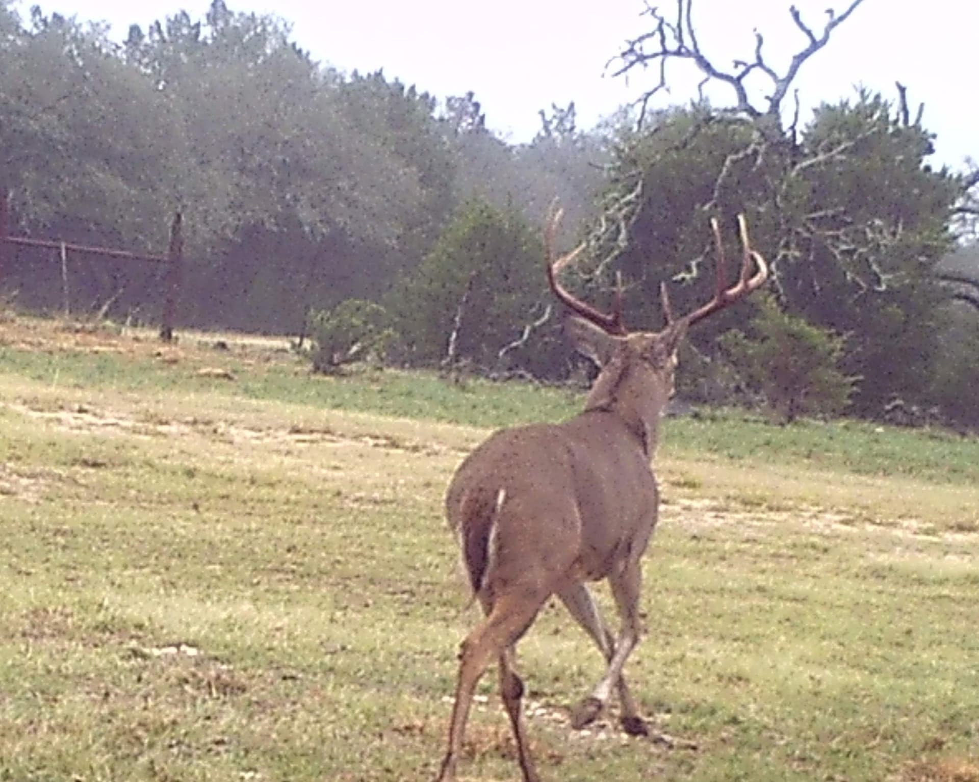 221.5 acres in Burnet County - photo 2