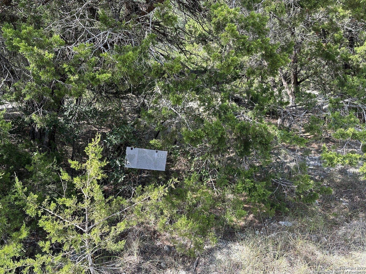 1.02 acres in Medina County - photo 9