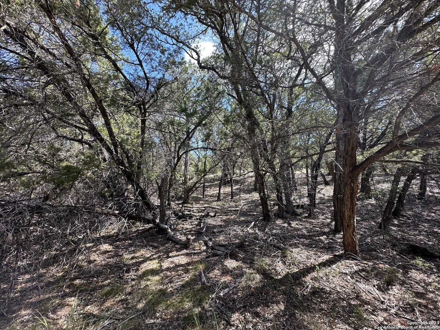 1.02 acres in Medina County - photo 12