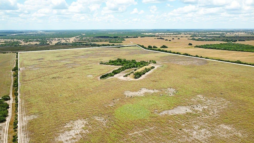 363.91 acres in Live Oak County featured view