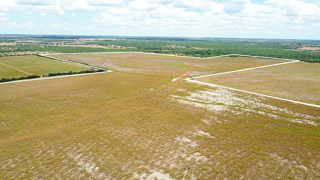 363.91 acres in Live Oak County