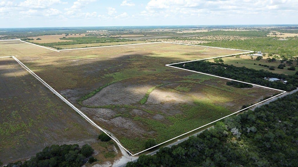 363.91 acres in Live Oak County gallery image 3