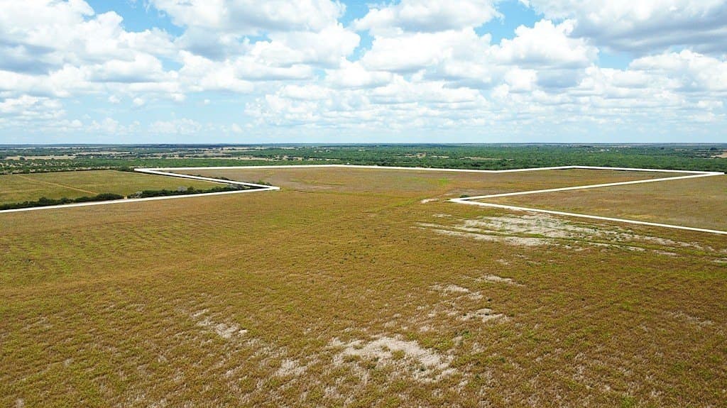 363.91 acres in Live Oak County gallery image 2