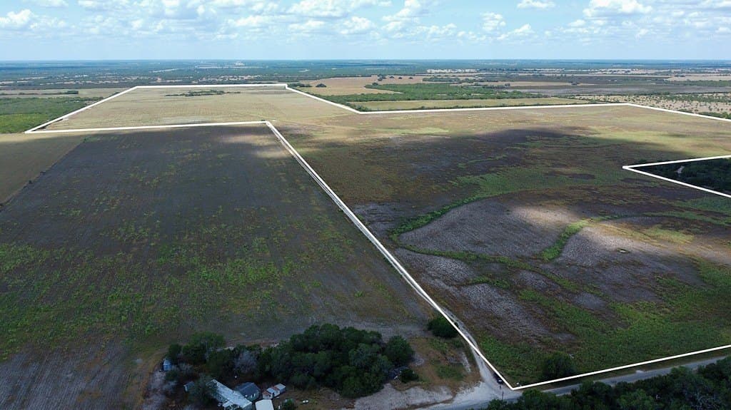 363.91 acres in Live Oak County gallery image 4