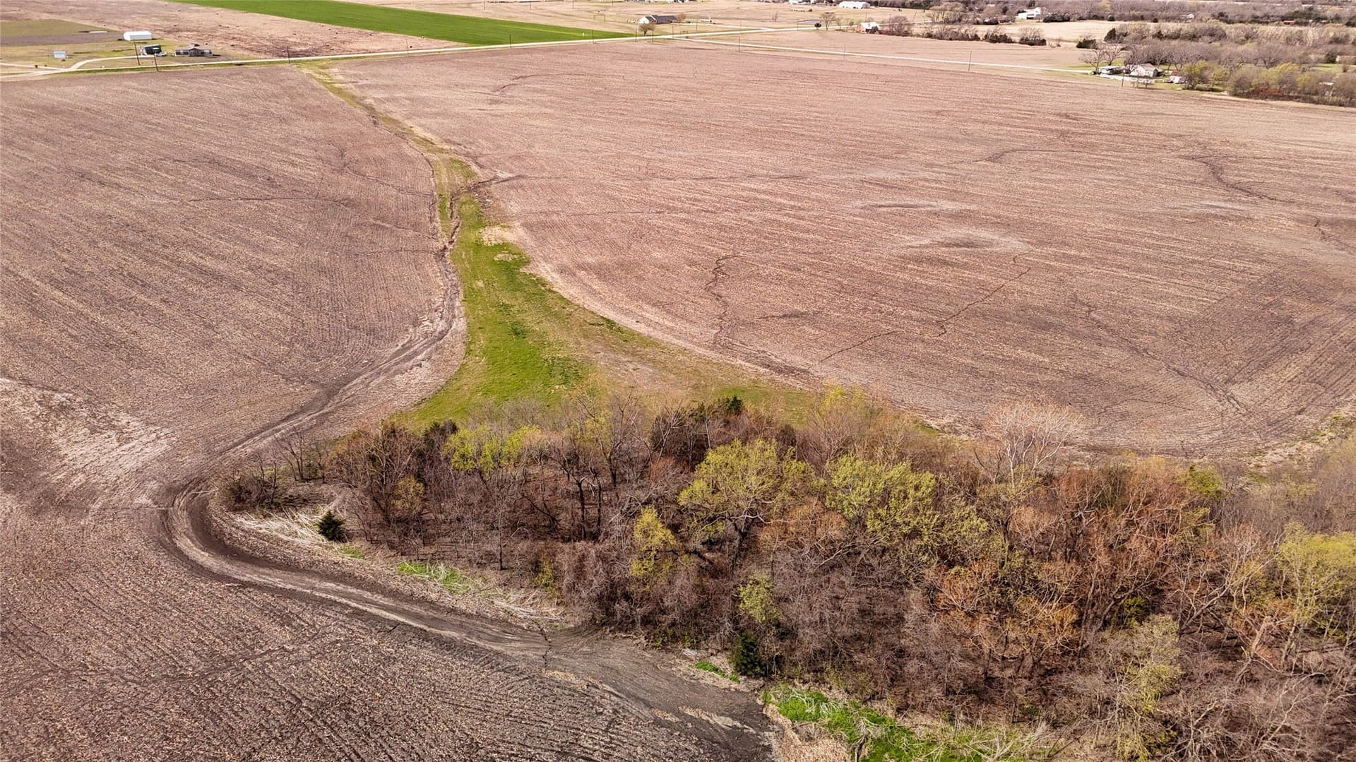 60.57 acres in Grayson County - photo 6