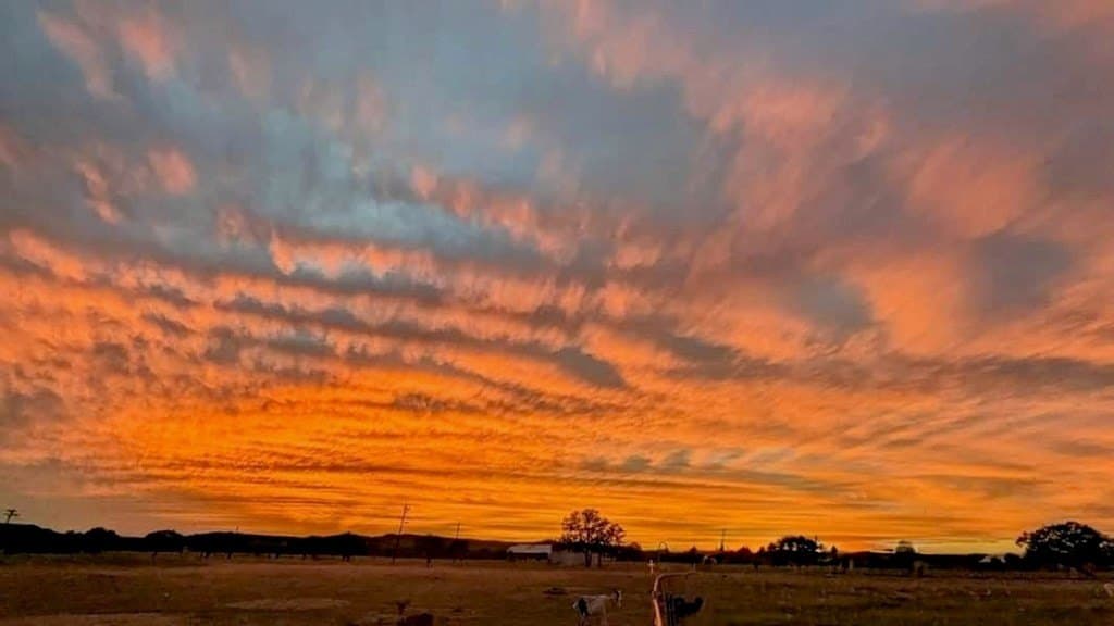 25.28 acres in Bandera County gallery image 3