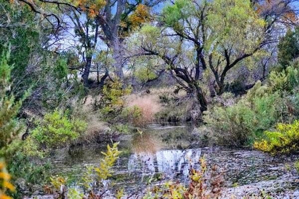 300 acres in Tom Green County