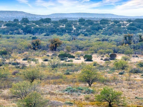 300 acres in Tom Green County gallery image 2