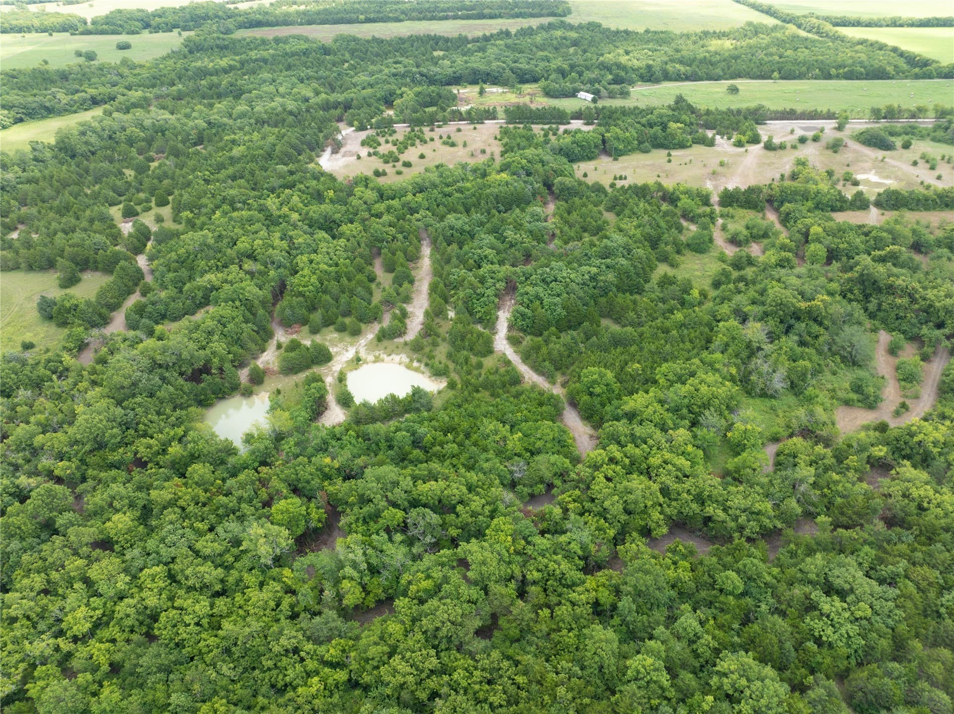 6 acres in Fannin County gallery image 3