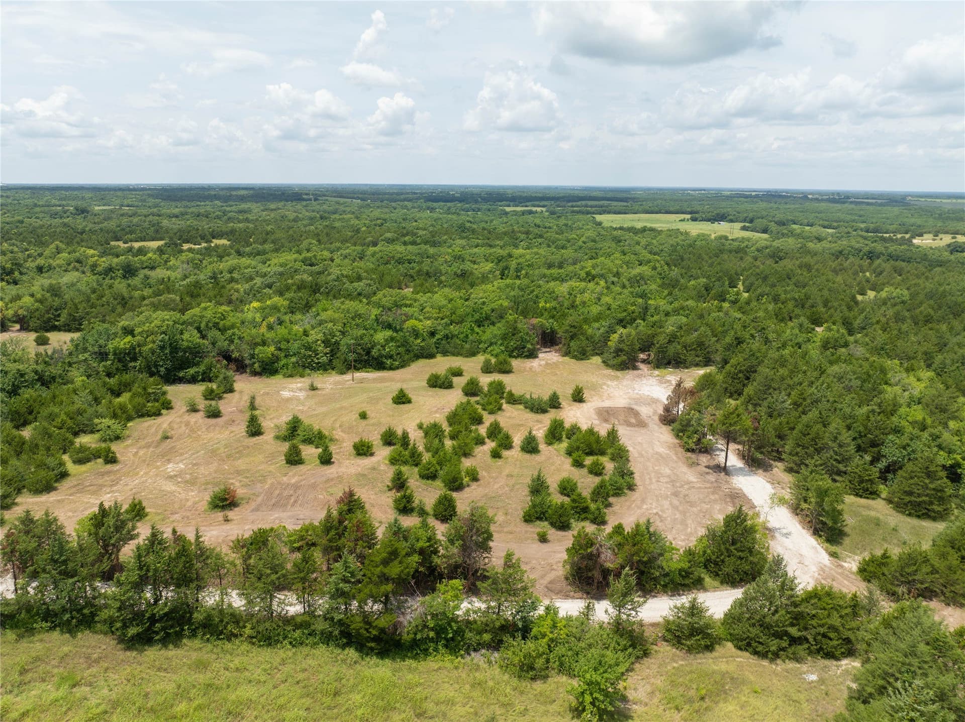 6 acres in Fannin County - photo 6