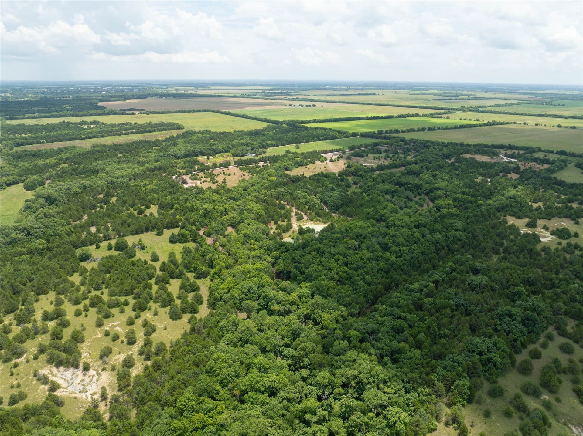 6 acres in Fannin County gallery image 4