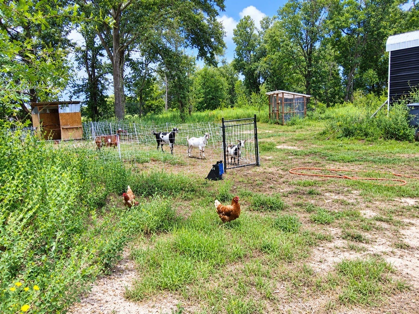 11.29 acres in Freestone County - photo 31