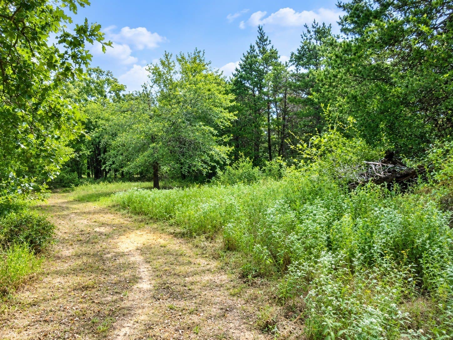 11.29 acres in Freestone County - photo 33