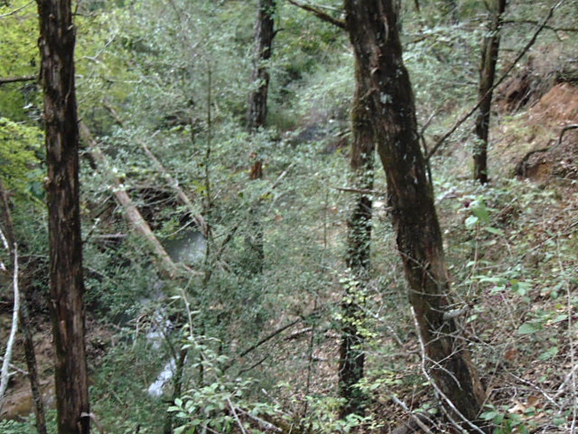 11.29 acres in Freestone County - photo 35