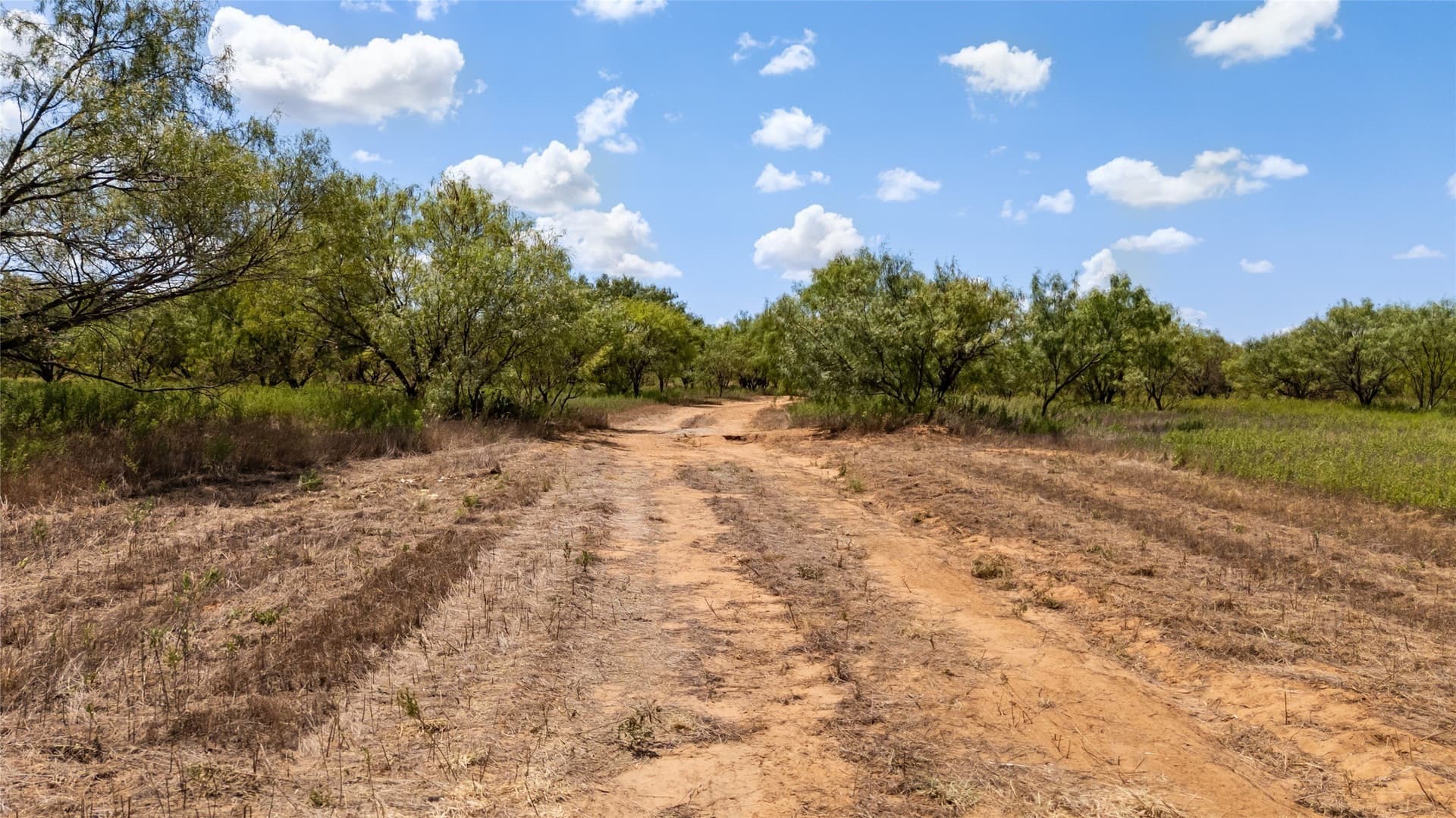 22.78 acres in Brown County - photo 5