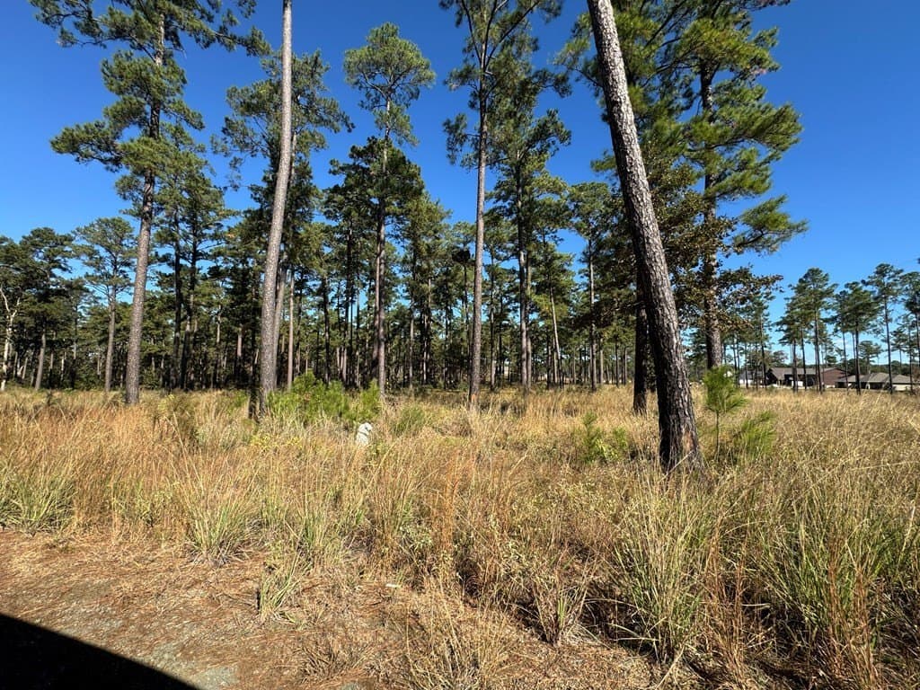 1.52 acres in Texas County gallery image 2