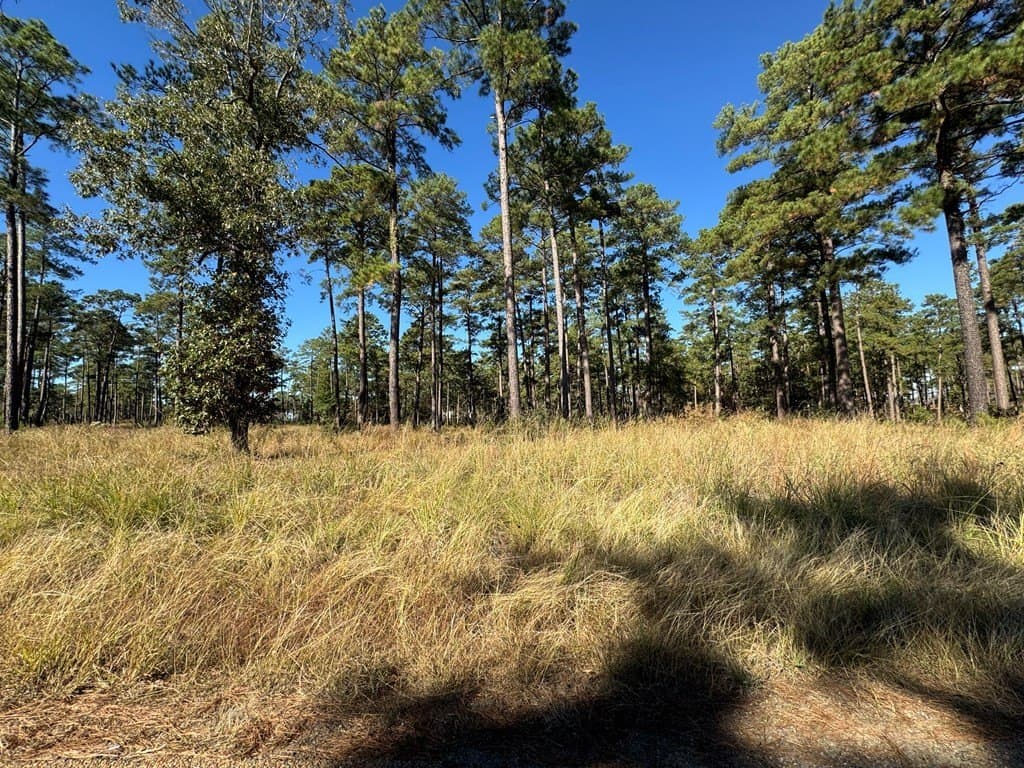 1.52 acres in Texas County gallery image 3