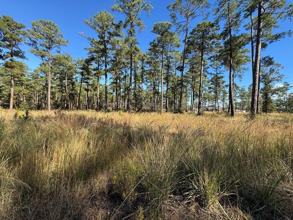 1.52 acres in Texas County