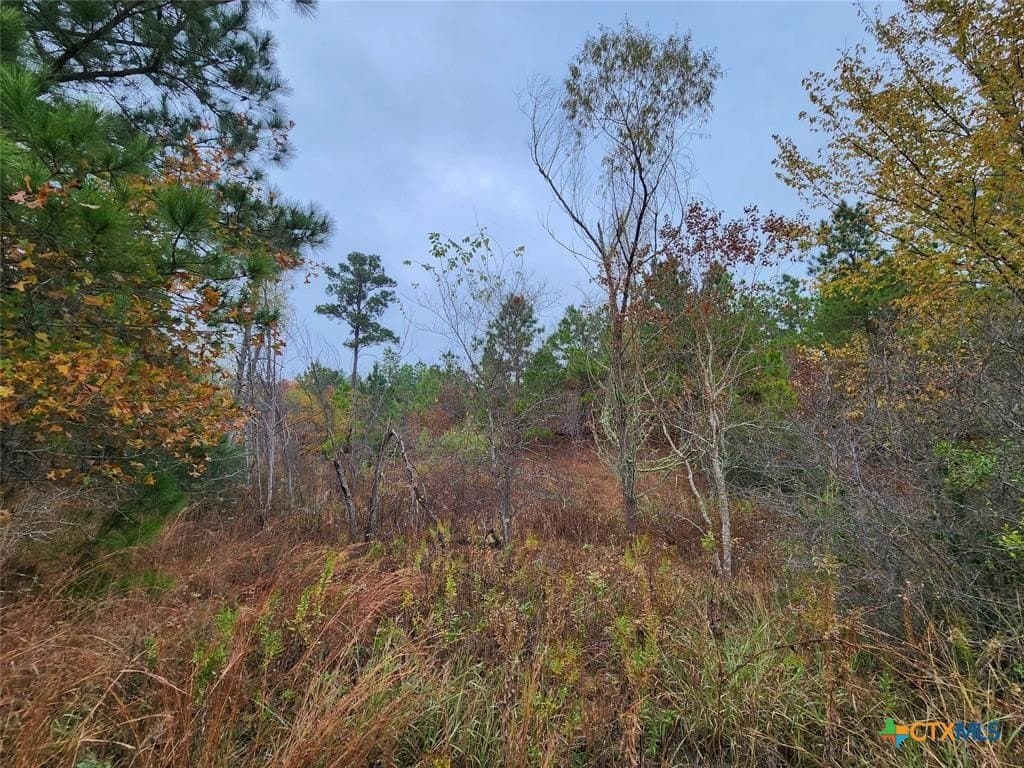 0.47 acres in Bastrop County - photo 6