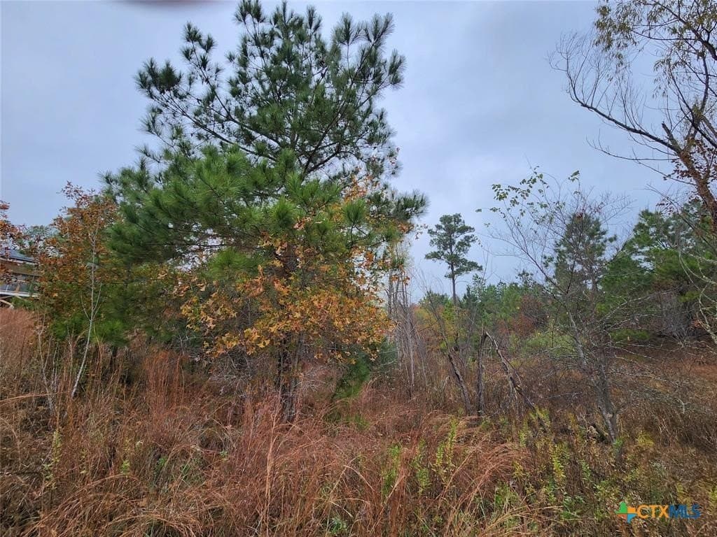 0.47 acres in Bastrop County - photo 3