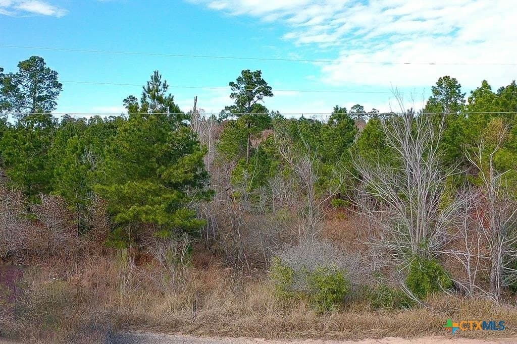 0.47 acres in Bastrop County - photo 9