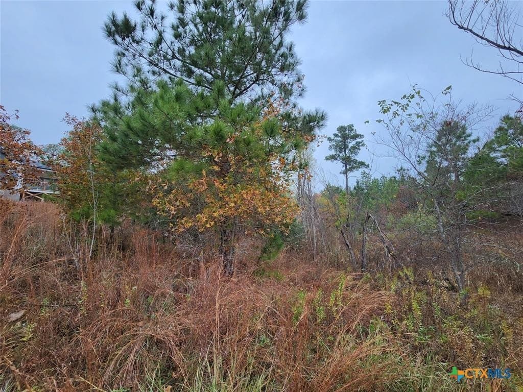 0.47 acres in Bastrop County - photo 4