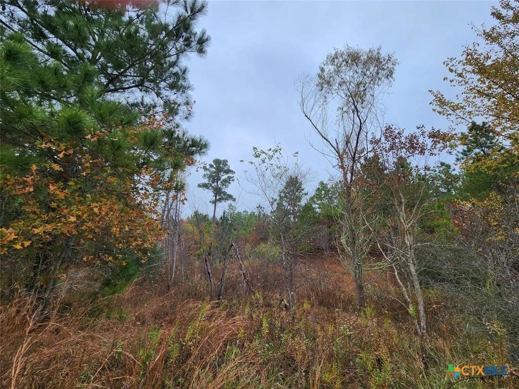 0.47 acres in Bastrop County - photo 2