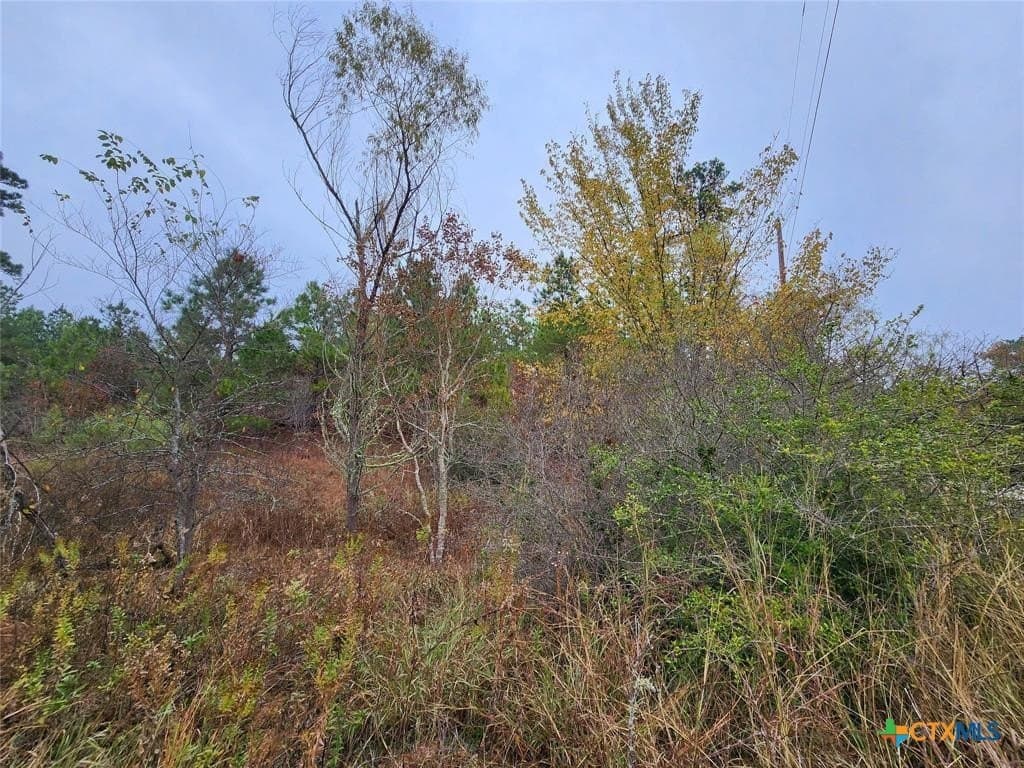 0.47 acres in Bastrop County - photo 5