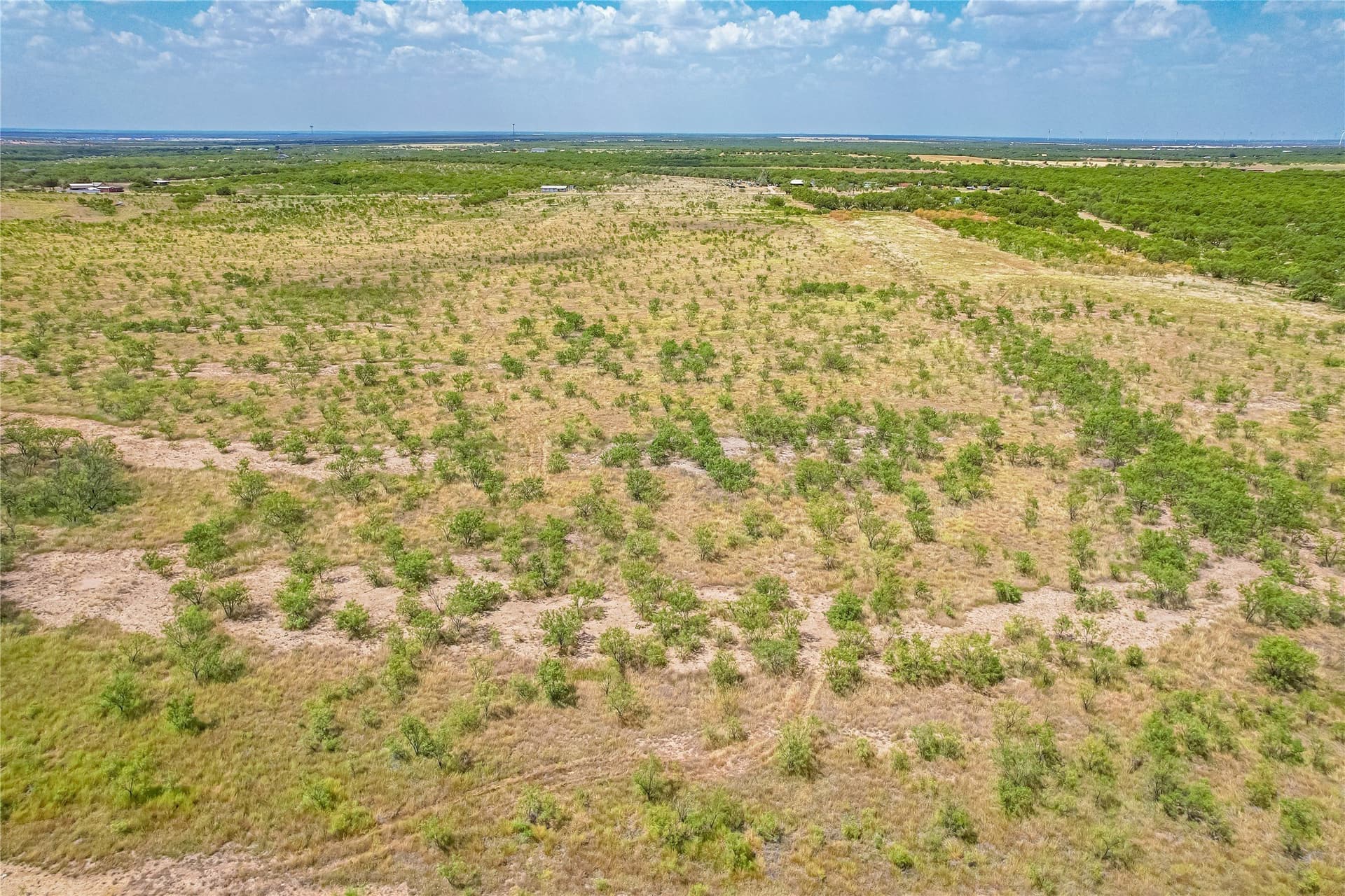 20 acres in Callahan County - photo 7
