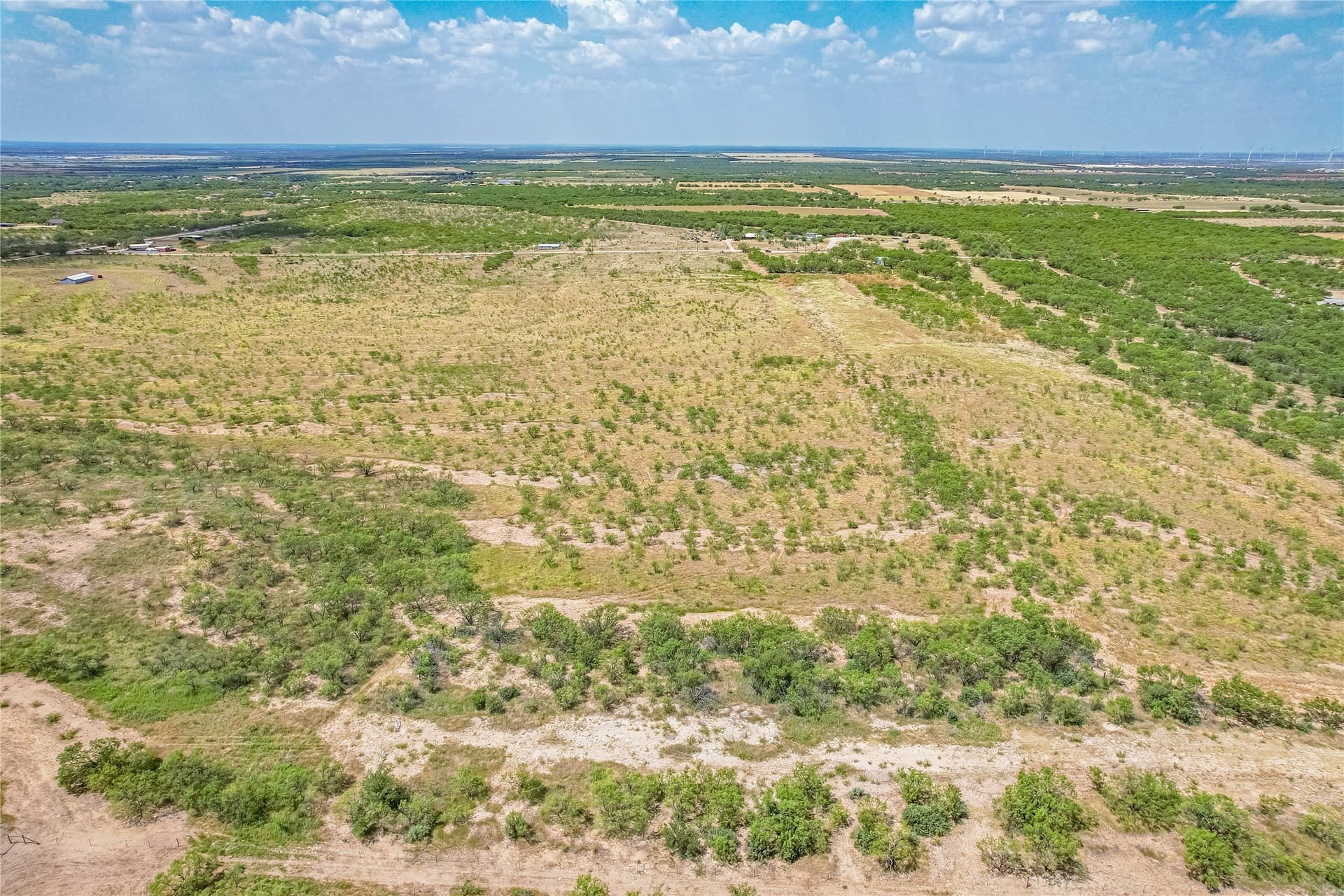 20 acres in Callahan County - photo 4